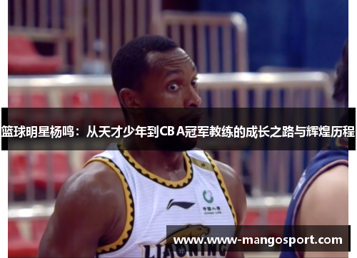 篮球明星杨鸣：从天才少年到CBA冠军教练的成长之路与辉煌历程