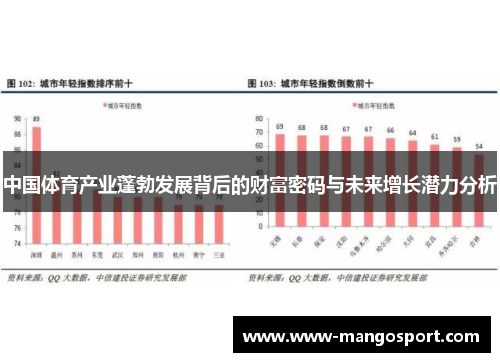 中国体育产业蓬勃发展背后的财富密码与未来增长潜力分析