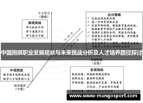 中国围棋职业发展现状与未来挑战分析及人才培养路径探讨